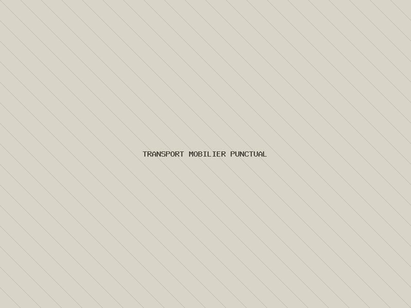 Transport mobilier punctual